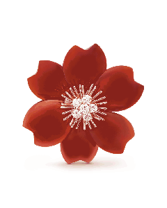 Rose de Noël clip, medium model